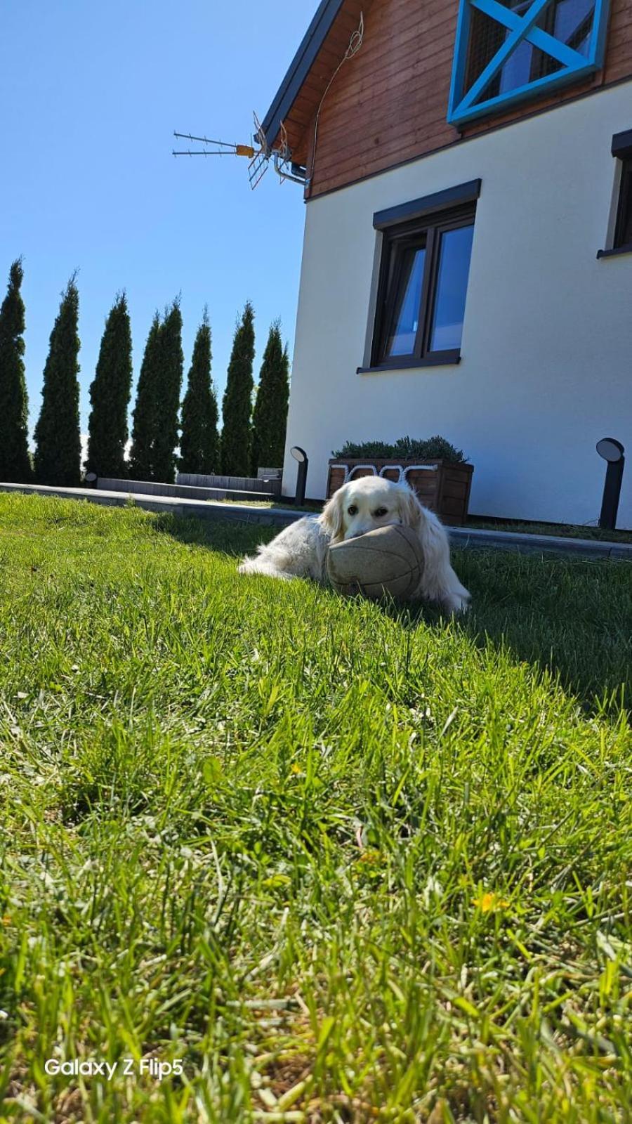 Domki U Sieronia Mielenko Exterior foto