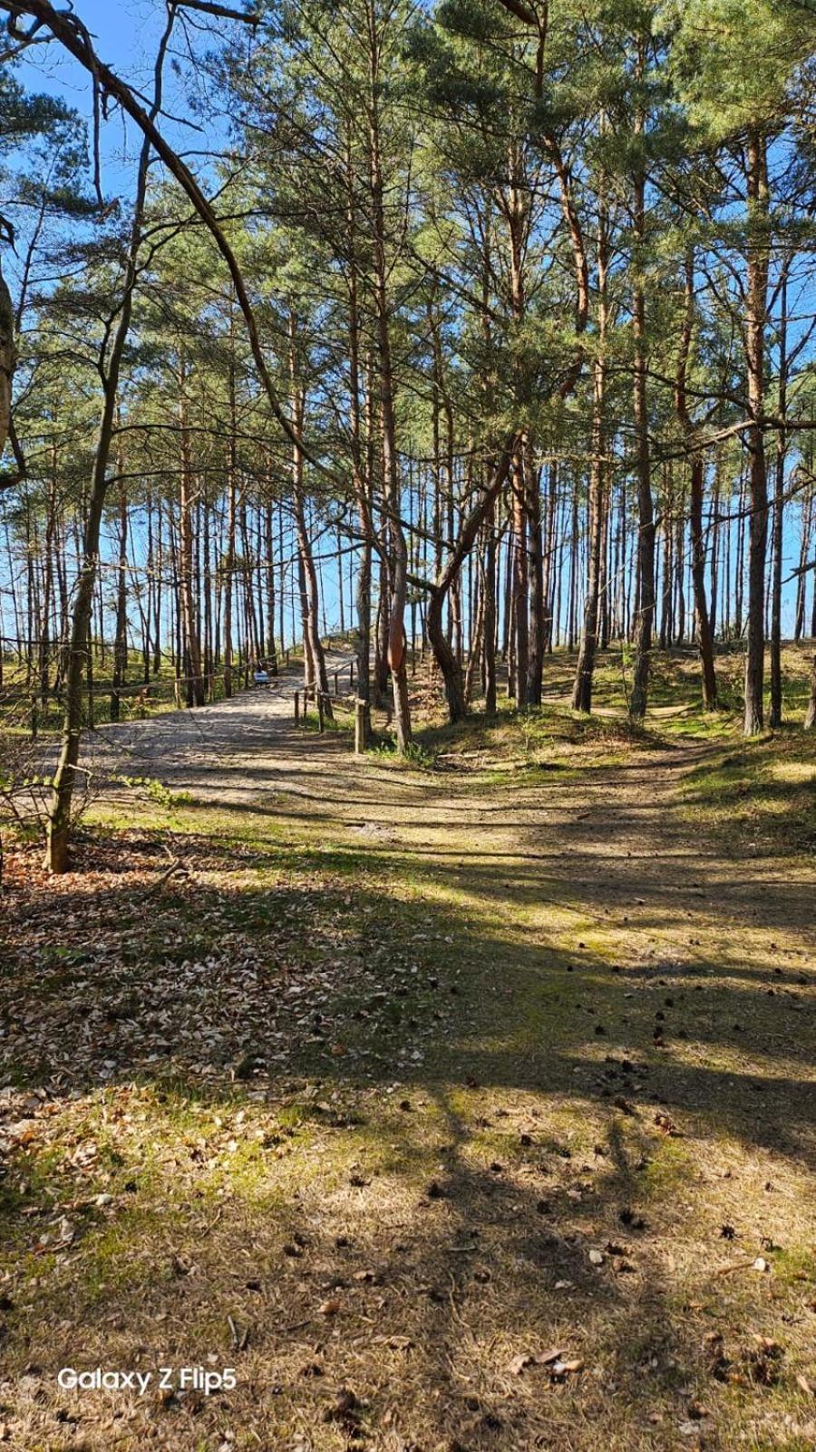Domki U Sieronia Mielenko Exterior foto